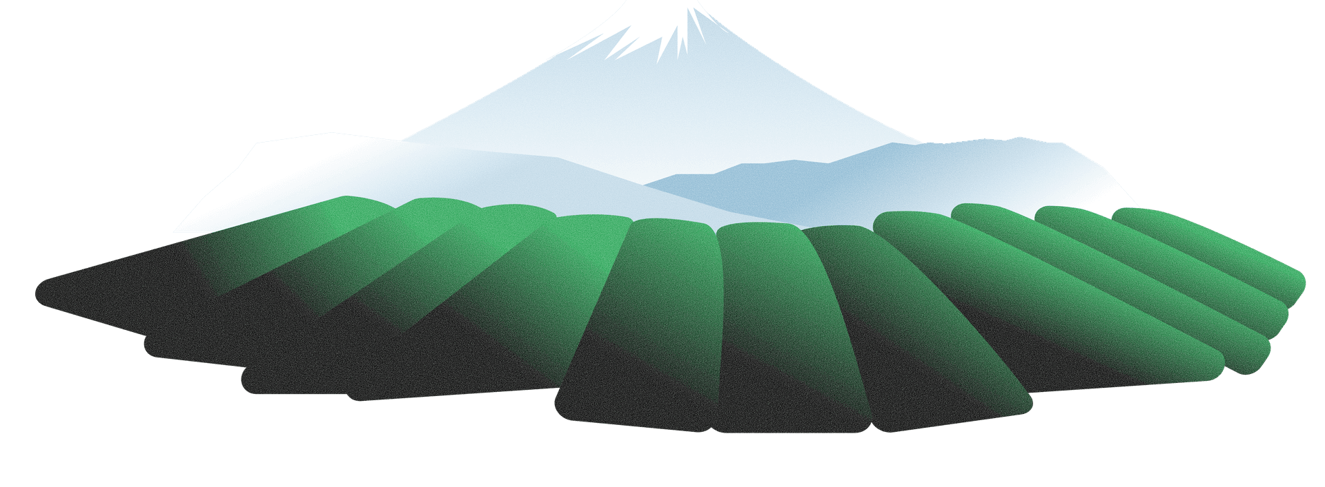 Mount Fuji and Tea Fields